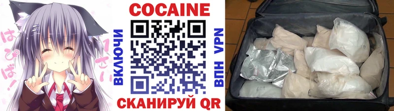 Купить закладки Светогорск COCAIN Fish Scale