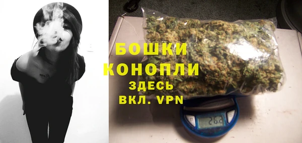ПСИЛОЦИБИНОВЫЕ ГРИБЫ Верхний Тагил